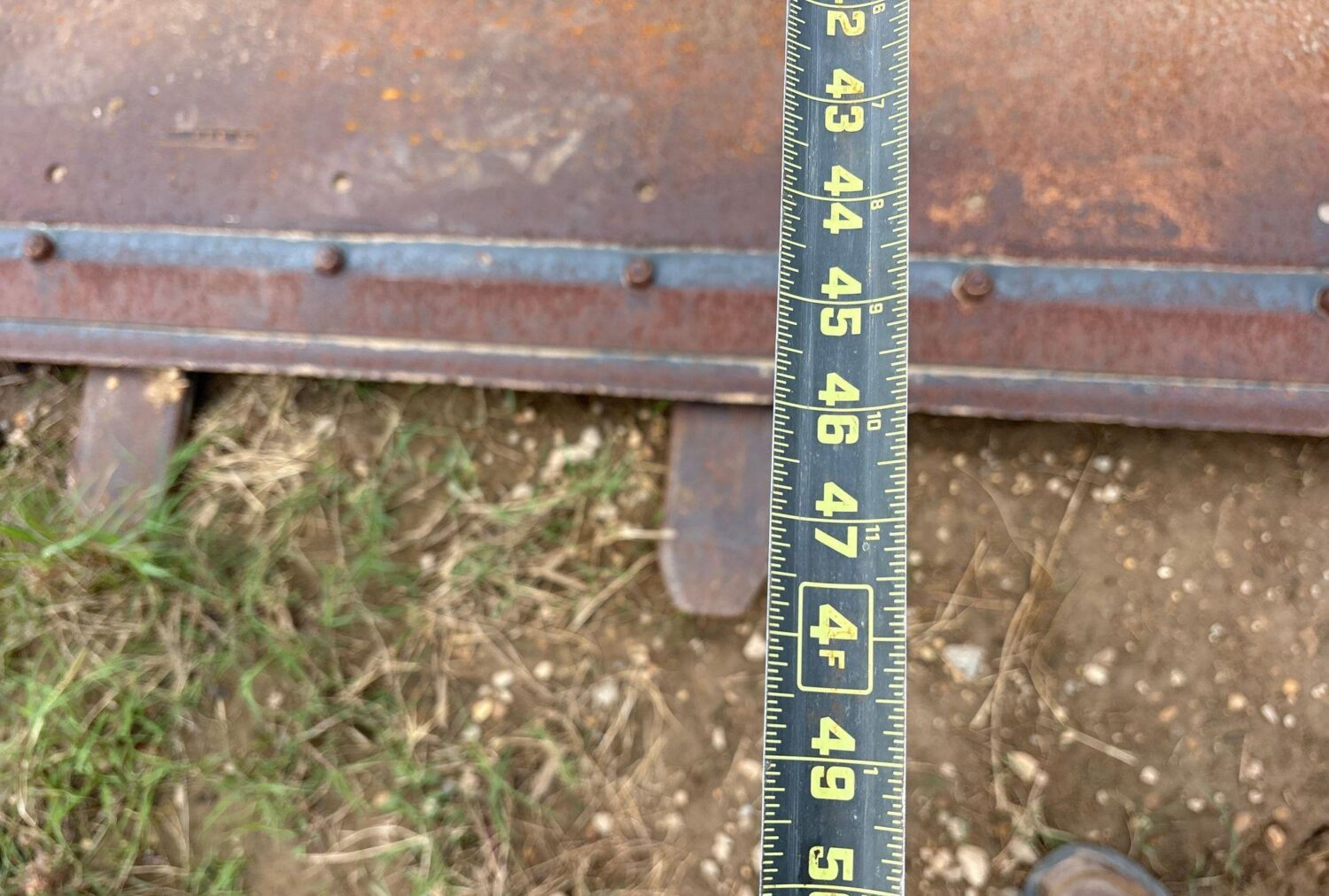 19